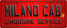 Noleggio Van con Autista Milano